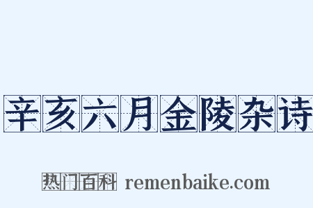 辛亥六月金陵杂诗是什么意思的图片